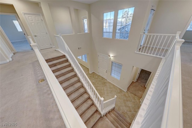 stairway featuring carpet floors