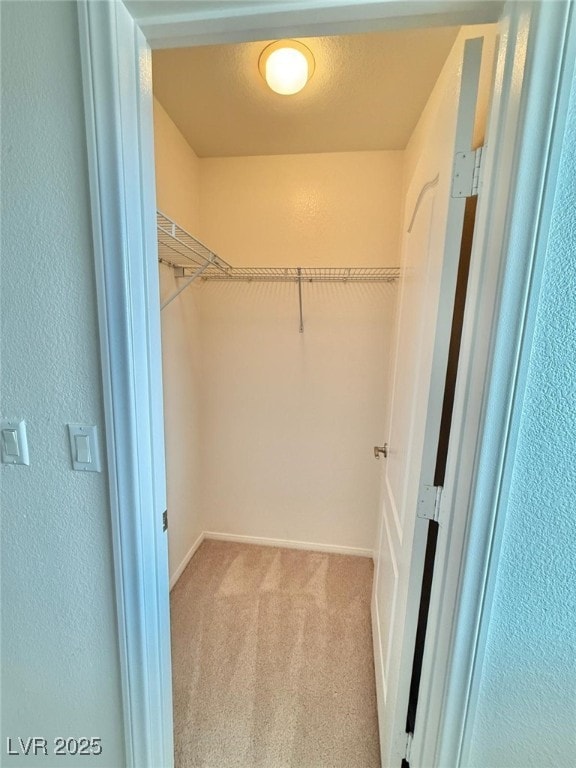 spacious closet with light carpet