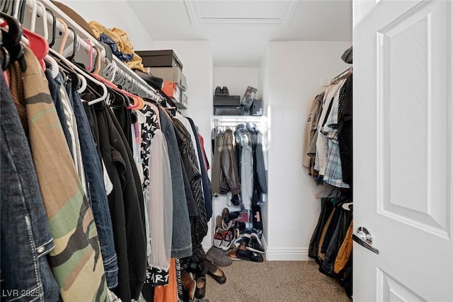 walk in closet with carpet