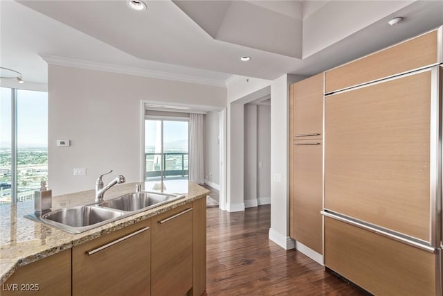 kitchen with crown molding, dark hardwood / wood-style flooring, light stone countertops, and sink