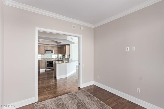 spare room featuring crown molding, dark hardwood / wood-style floors, and a raised ceiling