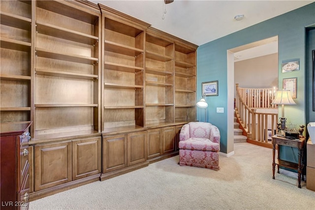 living area featuring light colored carpet