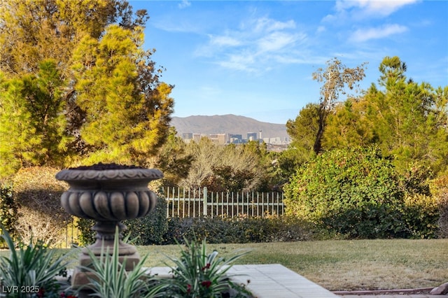 view of yard with a mountain view