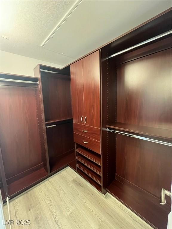 spacious closet with light wood-style floors