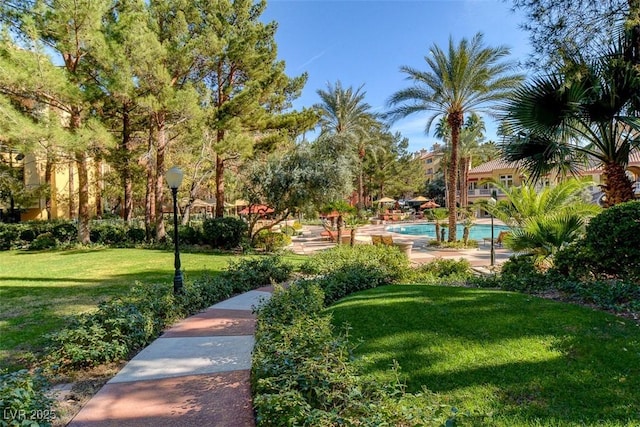 view of community with a pool and a lawn