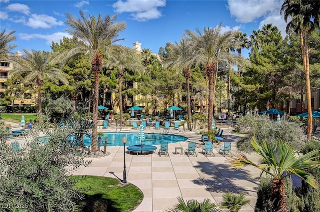 pool featuring a patio