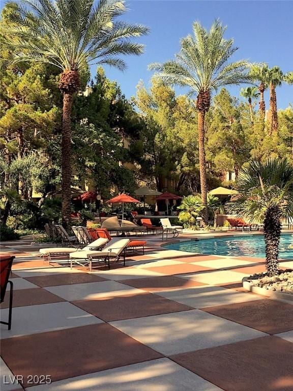 pool featuring a patio area