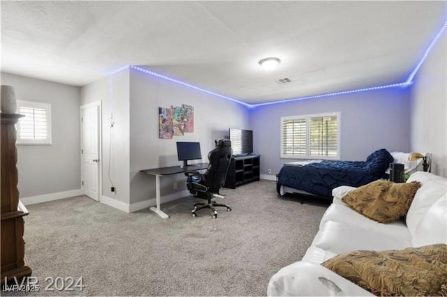 carpeted bedroom with multiple windows