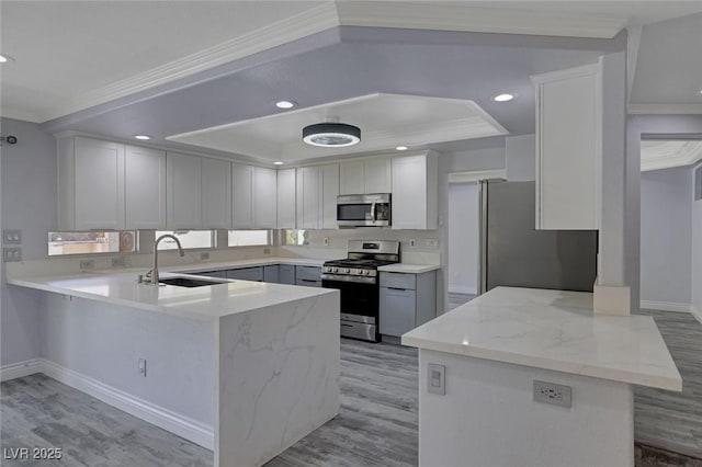 kitchen featuring a tray ceiling, kitchen peninsula, white cabinetry, and stainless steel appliances