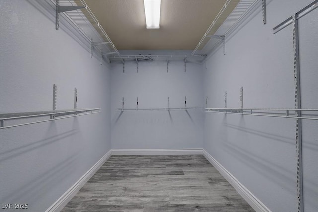 spacious closet with light hardwood / wood-style floors