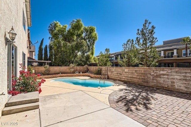 view of swimming pool with a patio