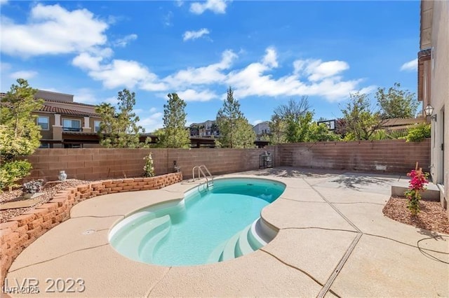 view of swimming pool with a patio