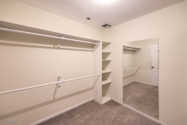 walk in closet with carpet