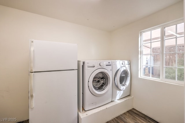 laundry room with hardwood / wood-style floors and washing machine and clothes dryer