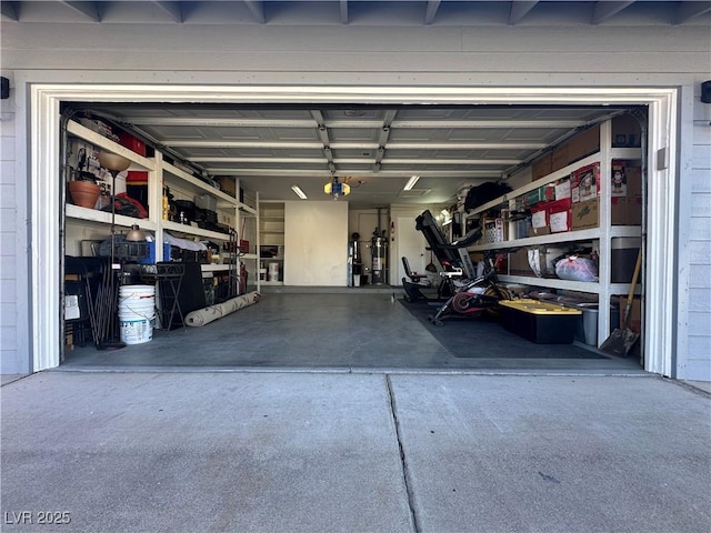 garage featuring a garage door opener and gas water heater