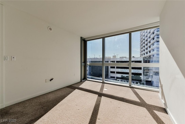 spare room with carpet flooring and expansive windows