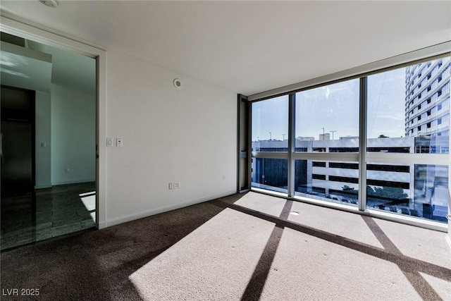 carpeted spare room with a wall of windows