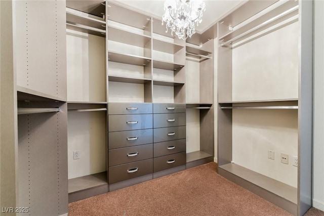 walk in closet with carpet floors and a chandelier