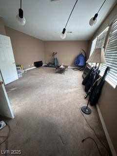 miscellaneous room with carpet