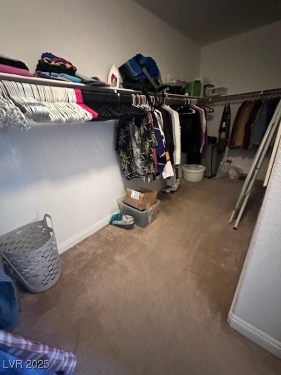 spacious closet featuring carpet