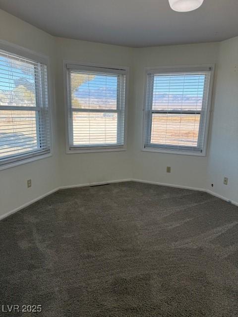 carpeted empty room with plenty of natural light