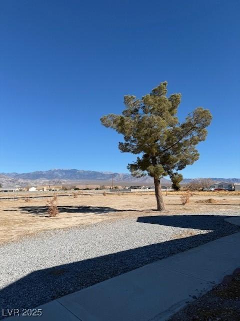 view of yard featuring a mountain view