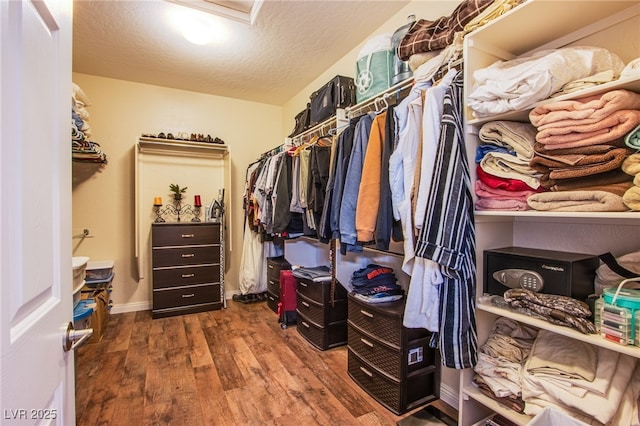 spacious closet featuring dark wood-type flooring