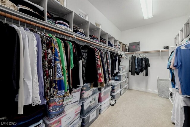 spacious closet with carpet