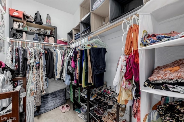 spacious closet featuring carpet flooring