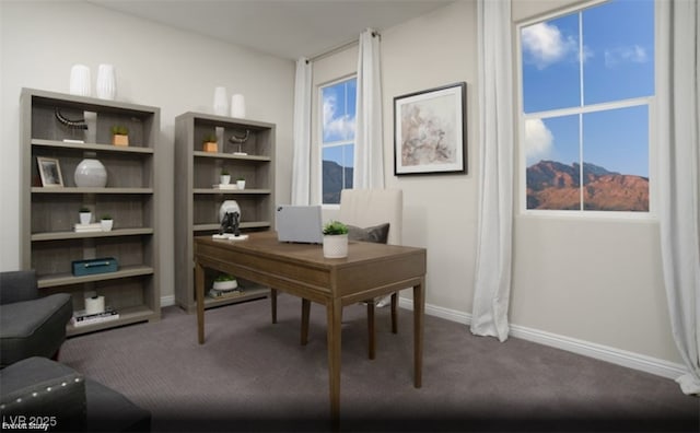 carpeted office space with a mountain view