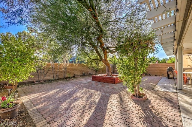 view of patio featuring a grill