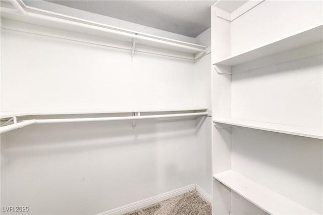 spacious closet with carpet floors