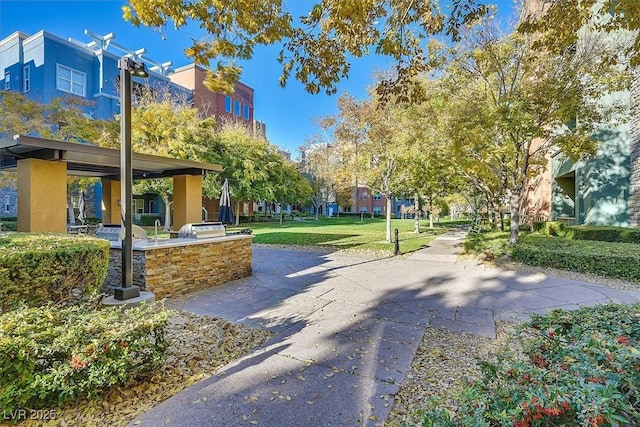 surrounding community featuring a lawn and an outdoor kitchen