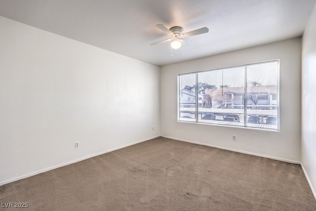 unfurnished room featuring ceiling fan and carpet floors