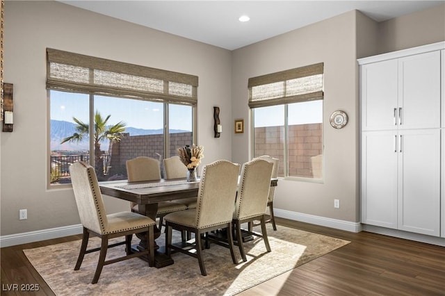 dining area with dark hardwood / wood-style floors and plenty of natural light