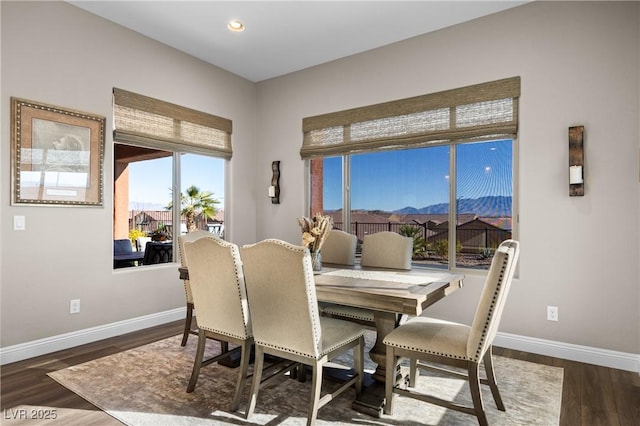 dining space featuring dark hardwood / wood-style flooring