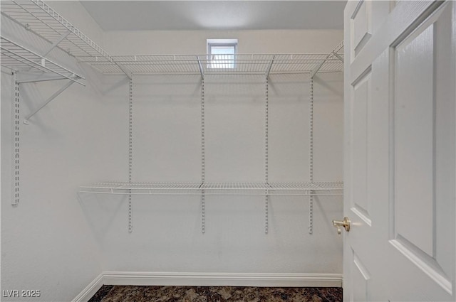 view of walk in closet