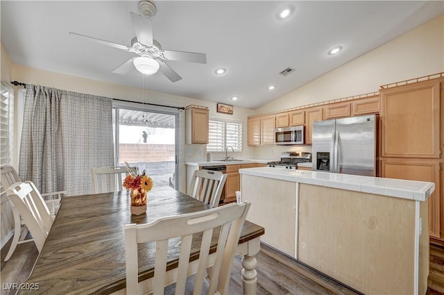 kitchen featuring sink, dark wood-type flooring, stainless steel appliances, vaulted ceiling, and a kitchen island