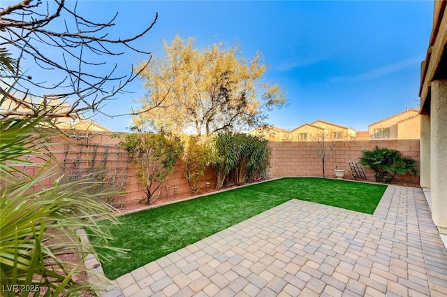 view of yard featuring a fenced backyard and a patio