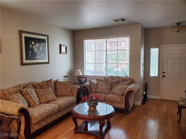 living room featuring hardwood / wood-style flooring