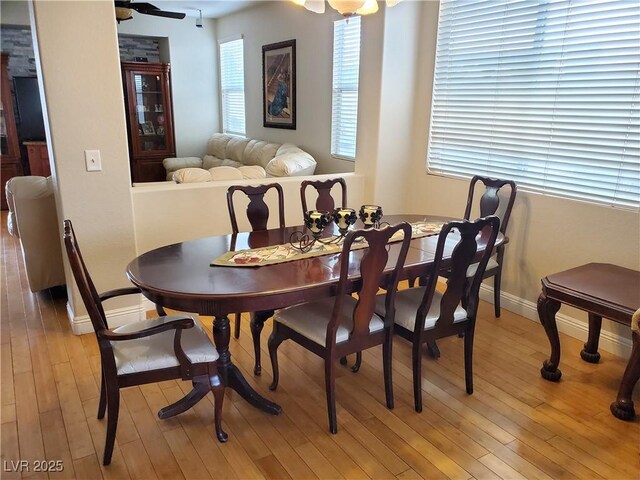 dining room with ceiling fan and light wood-type flooring