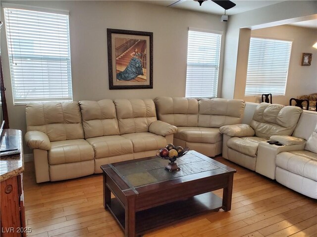 living room with ceiling fan and light hardwood / wood-style flooring