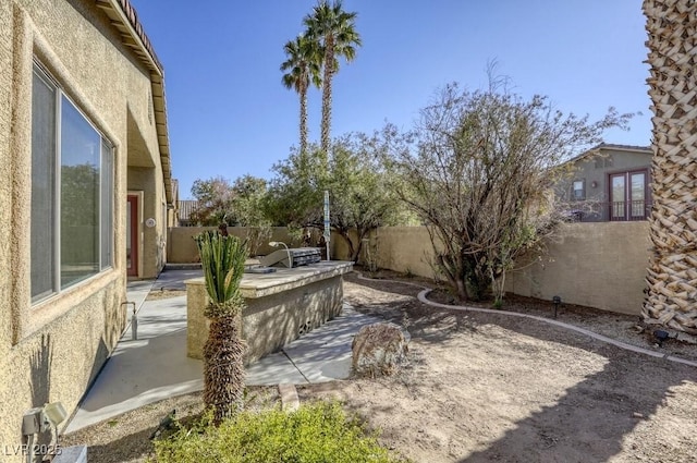 view of yard with a patio