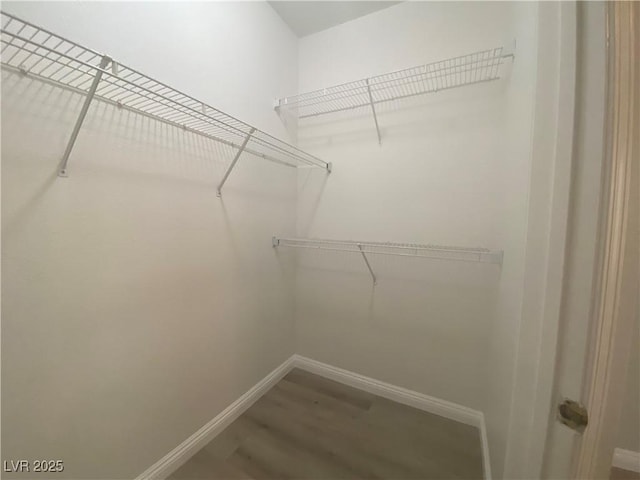 walk in closet featuring hardwood / wood-style flooring