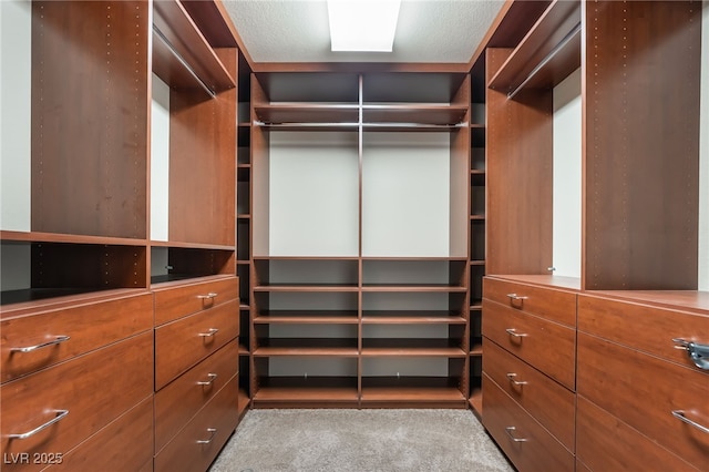 spacious closet with light carpet