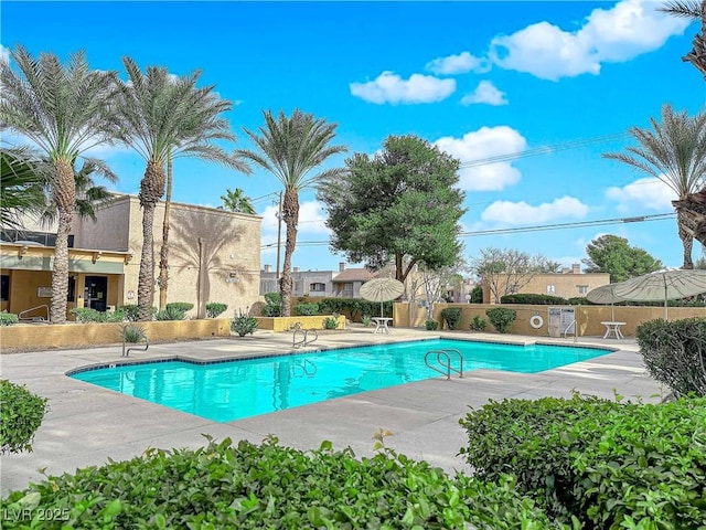 view of pool featuring a patio