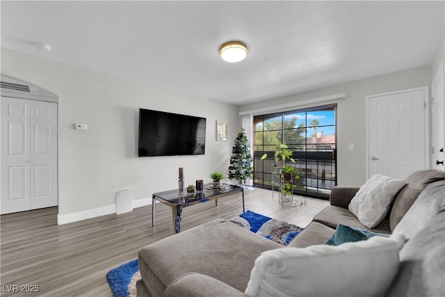 living room with wood-type flooring