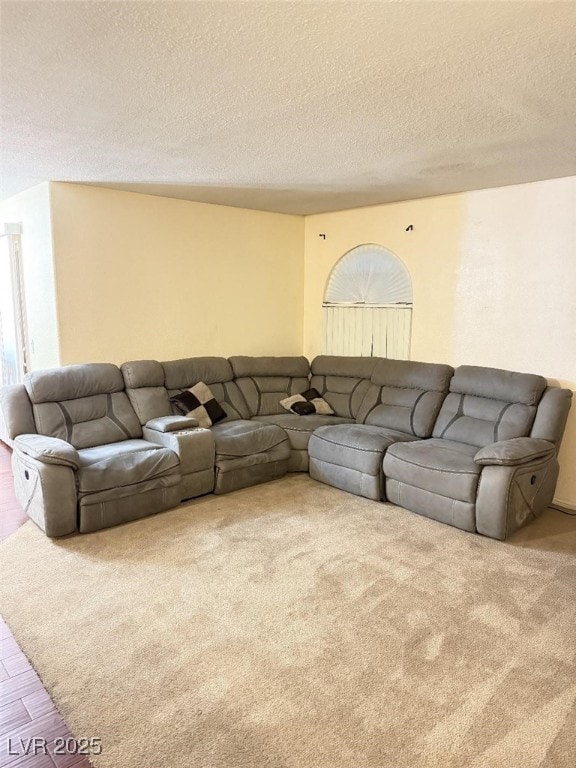 living room featuring a textured ceiling