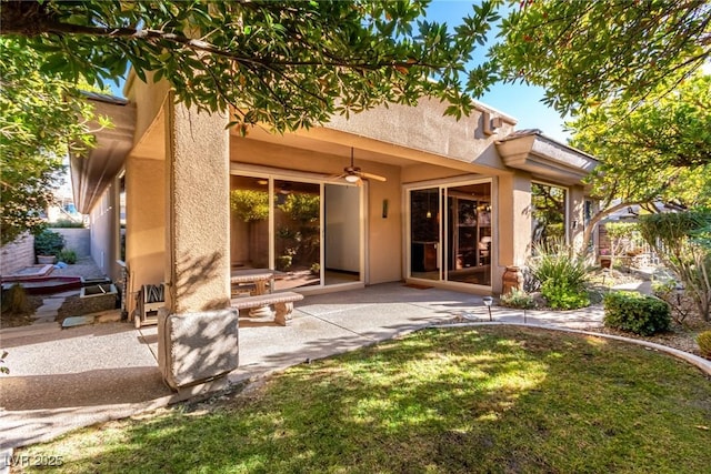 back of house with ceiling fan, a patio area, and a yard