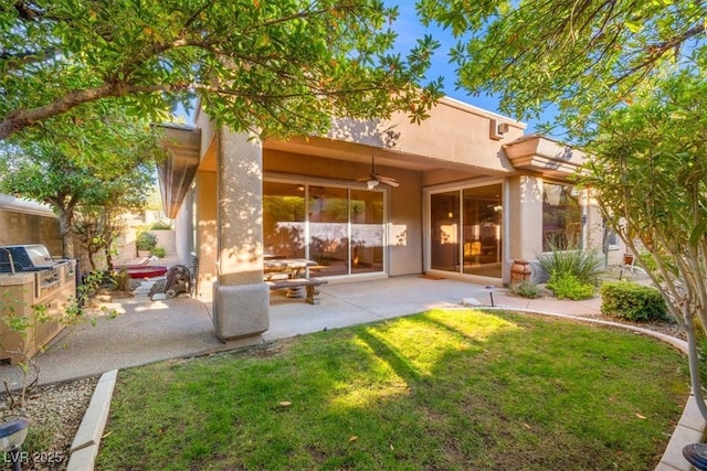 rear view of property with ceiling fan, a patio, and a lawn